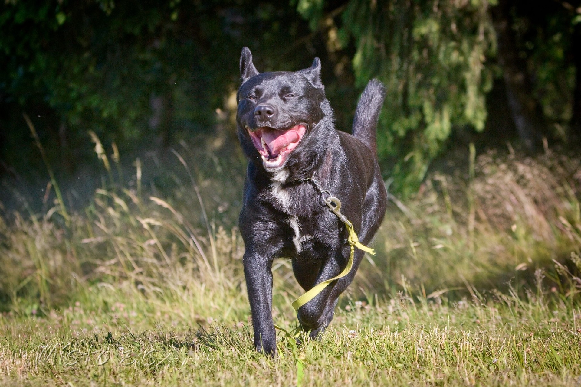 Nero, 4 roky